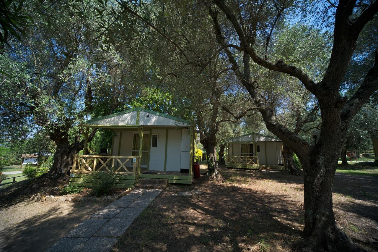 Villaggio Turistico Camping Il Fontino Scarlino Exterior foto