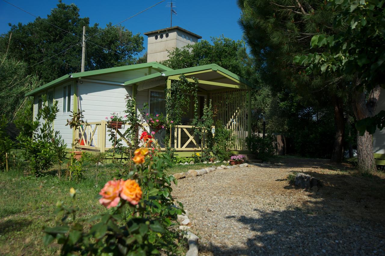 Villaggio Turistico Camping Il Fontino Scarlino Exterior foto